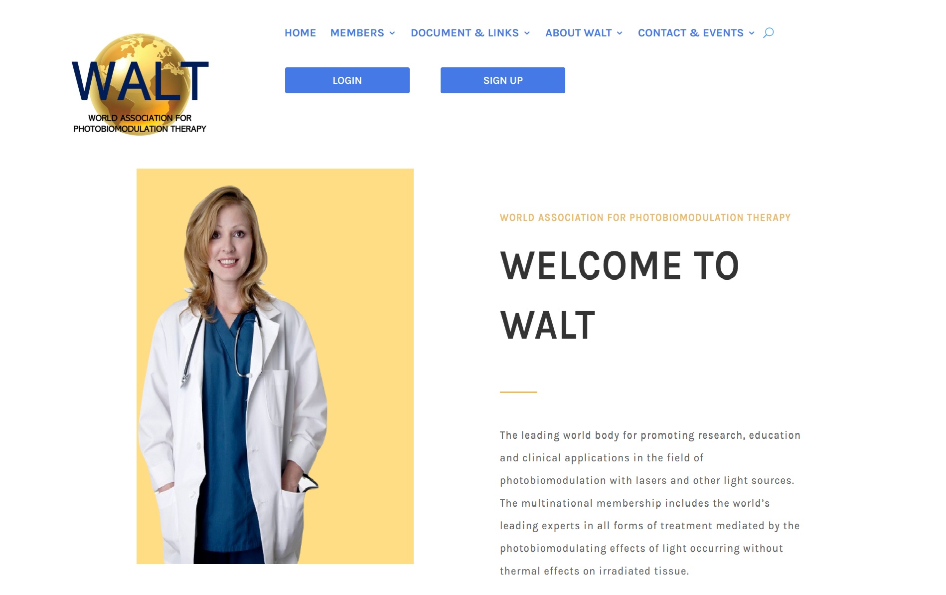 WALT PBM homepage preview